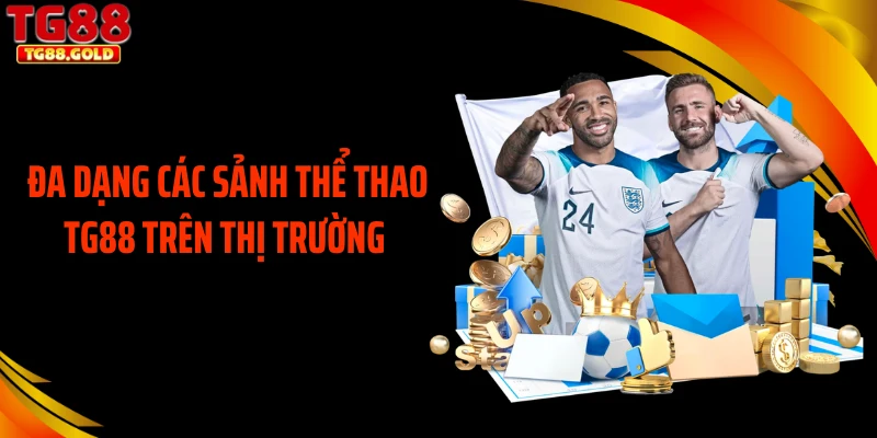 Đa dạng các sảnh thể thao TG88 trên thị trường 