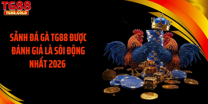 Sảnh đá gà TG88 được đánh giá là sôi động nhất 2026