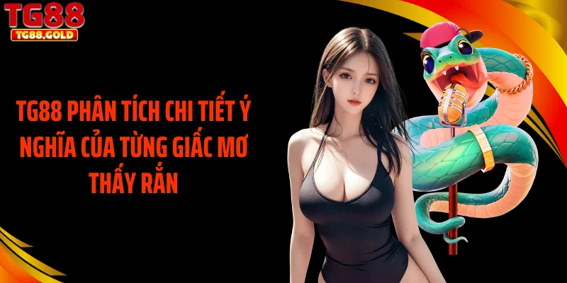TG88 phân tích chi tiết ý nghĩa của từng giấc mơ thấy rắn